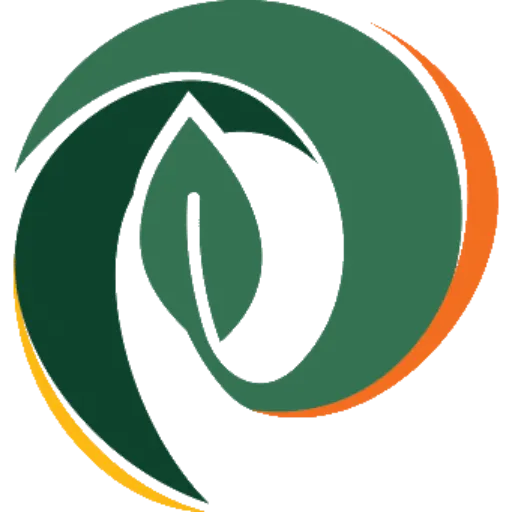 Municipalidad de Pronunciamiento